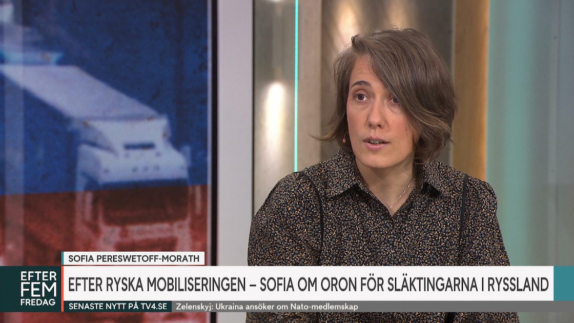 Интервью Шведскому телеканалу TV4 по вопросу мобилизации